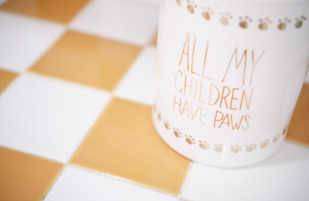All my children have paws 🐾 All my children have paws 🐾