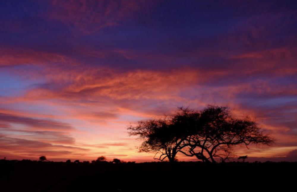 I wanna wake up to this view everyday.. I wanna wake up to this view everyday..