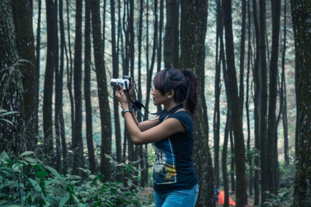 girl with camera on the forest girl with camera on the forest