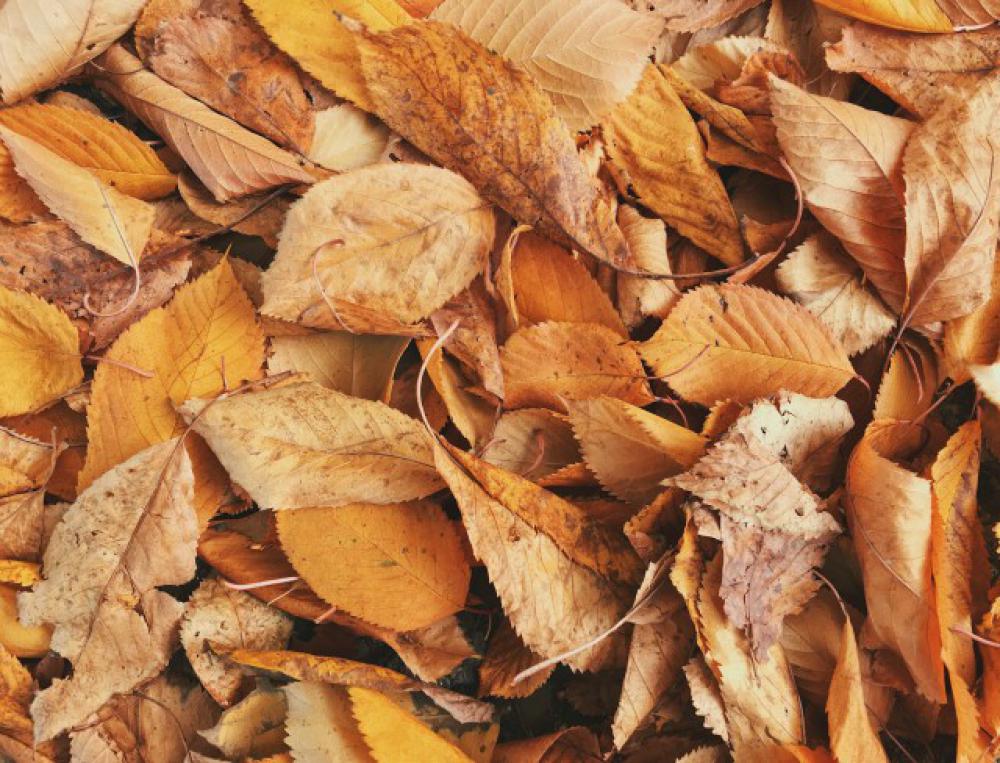 Autumn touch 🍂... Autumn touch 🍂...
