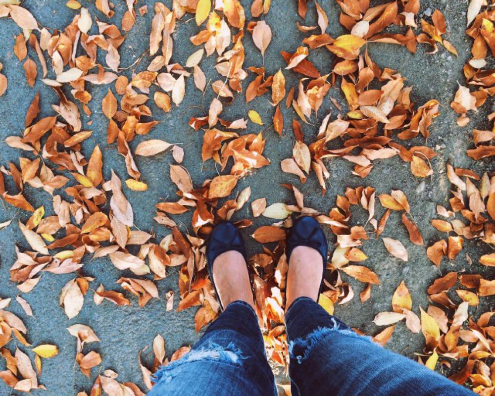 Autumn is here Autumn is here