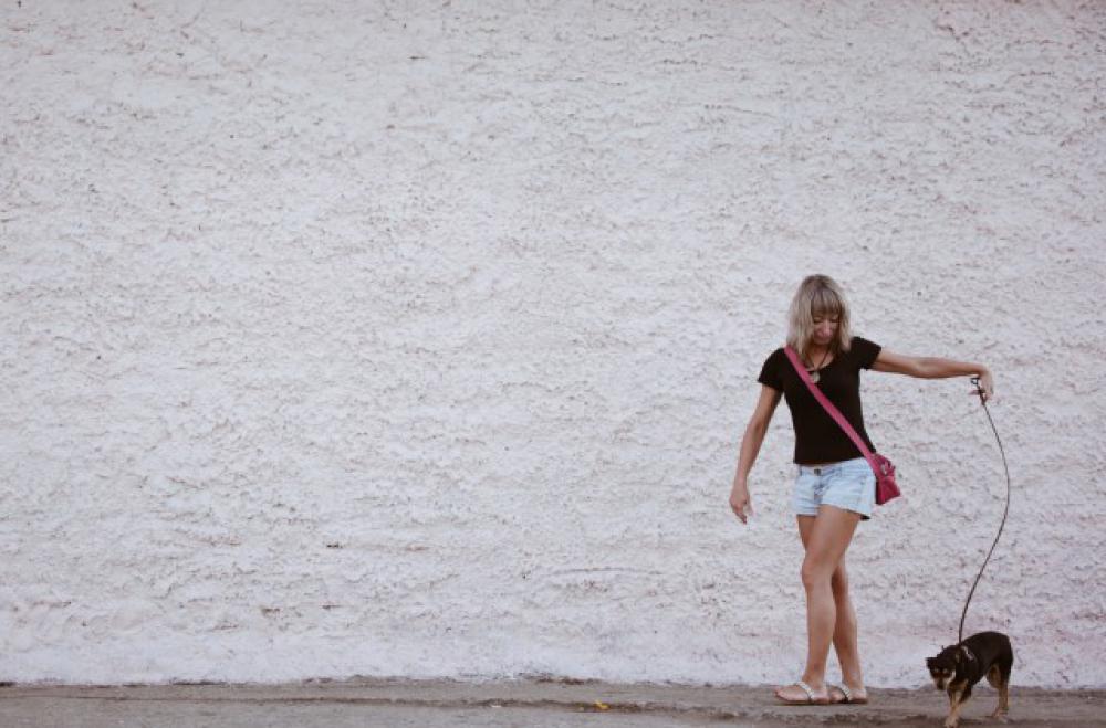 Girl in denim shorts walking on the street with a dog. Girl in denim shorts walking on the street with a dog.