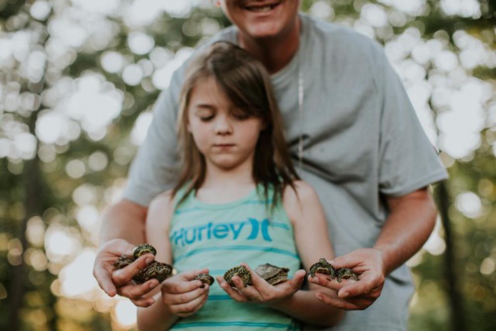 Turtles Turtles