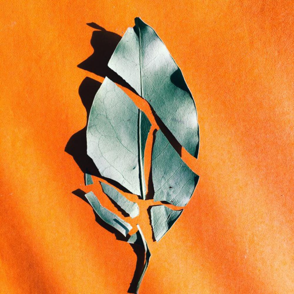 Broken but recognizable. Broken but recognizable.