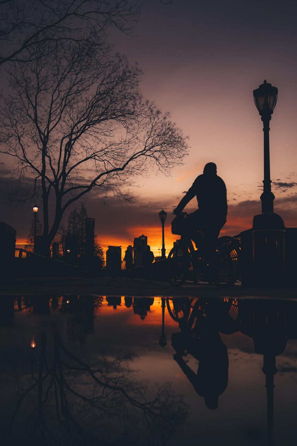Cycling Reflects At Sunset Photo Cycling Reflects At Sunset Photo