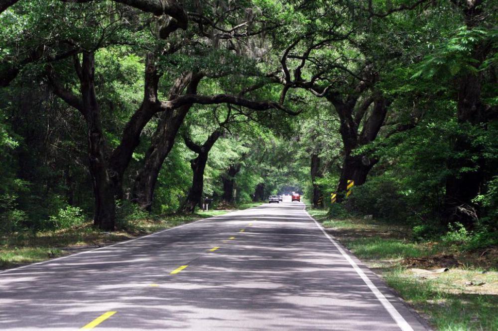 empty road empty road