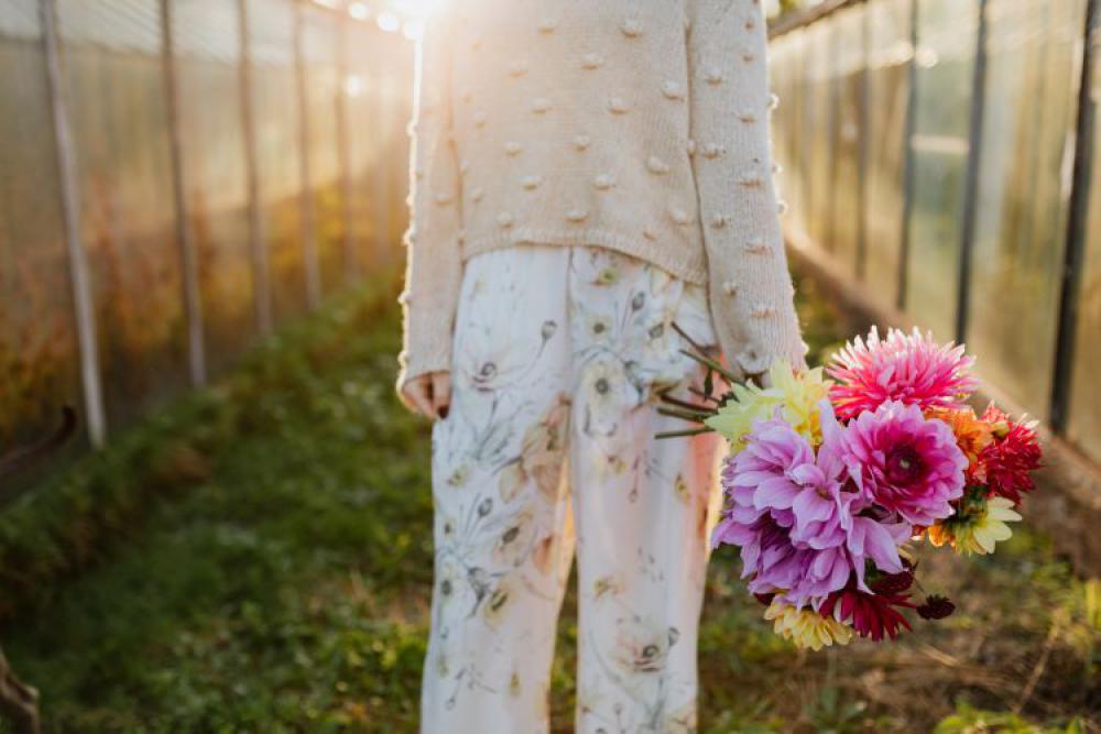 Beautiful colorful dahlia flowers Beautiful colorful dahlia flowers
