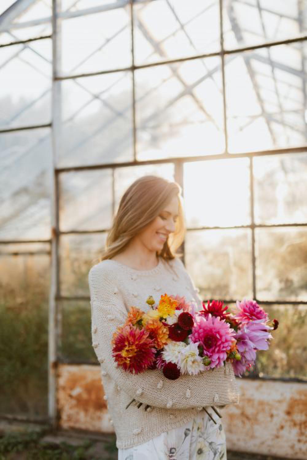 Beautiful colorful dahlia flowers Beautiful colorful dahlia flowers