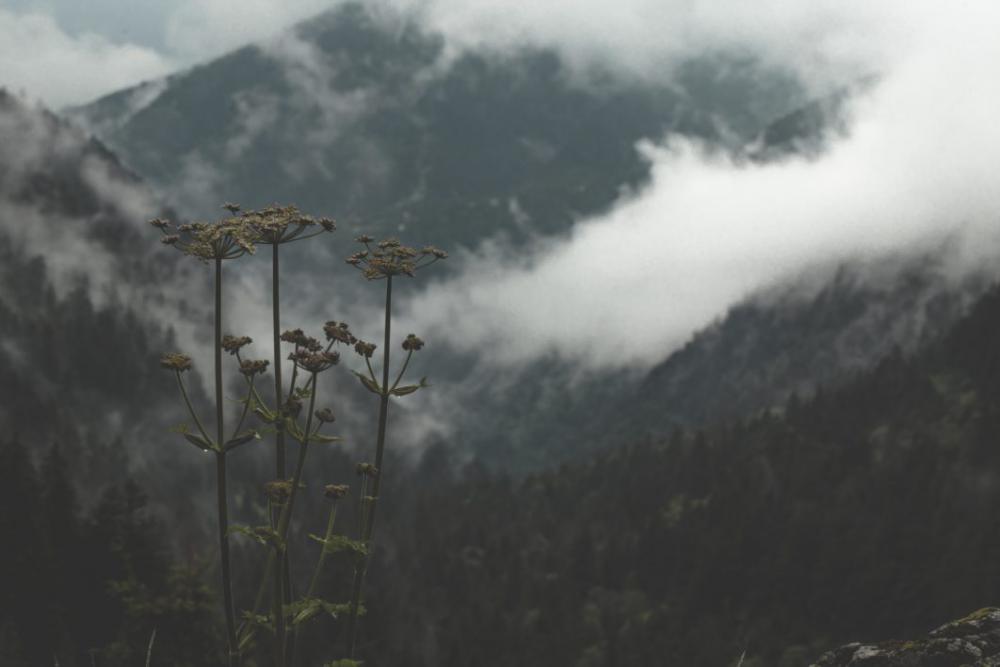 Landscape Scenic Clouds Free Photo Landscape Scenic Clouds Free Photo