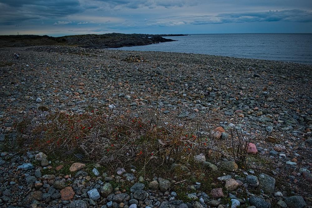 Beach Sand Sea Autumn Beach Sand Sea Autumn