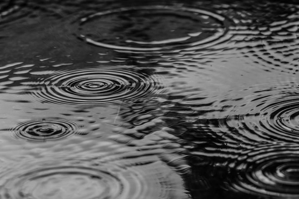 Puddle Water Rain Nature Puddle Water Rain Nature