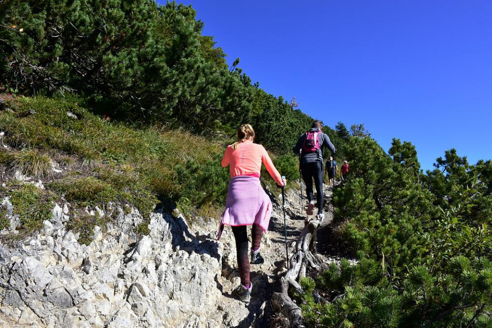 Alpine Herzogstand Mountain Bavaria Nature Alpine Herzogstand Mountain Bavaria Nature