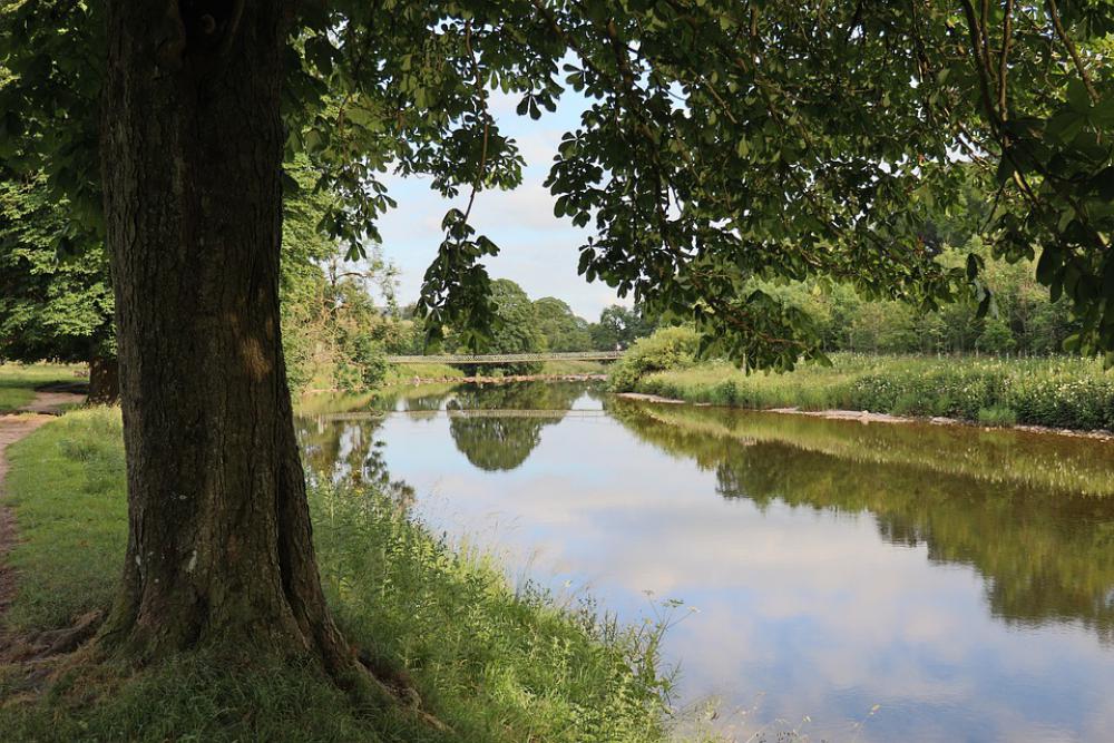 River Tree Rest Landscape Nature Forest Water River Tree Rest Landscape Nature Forest Water