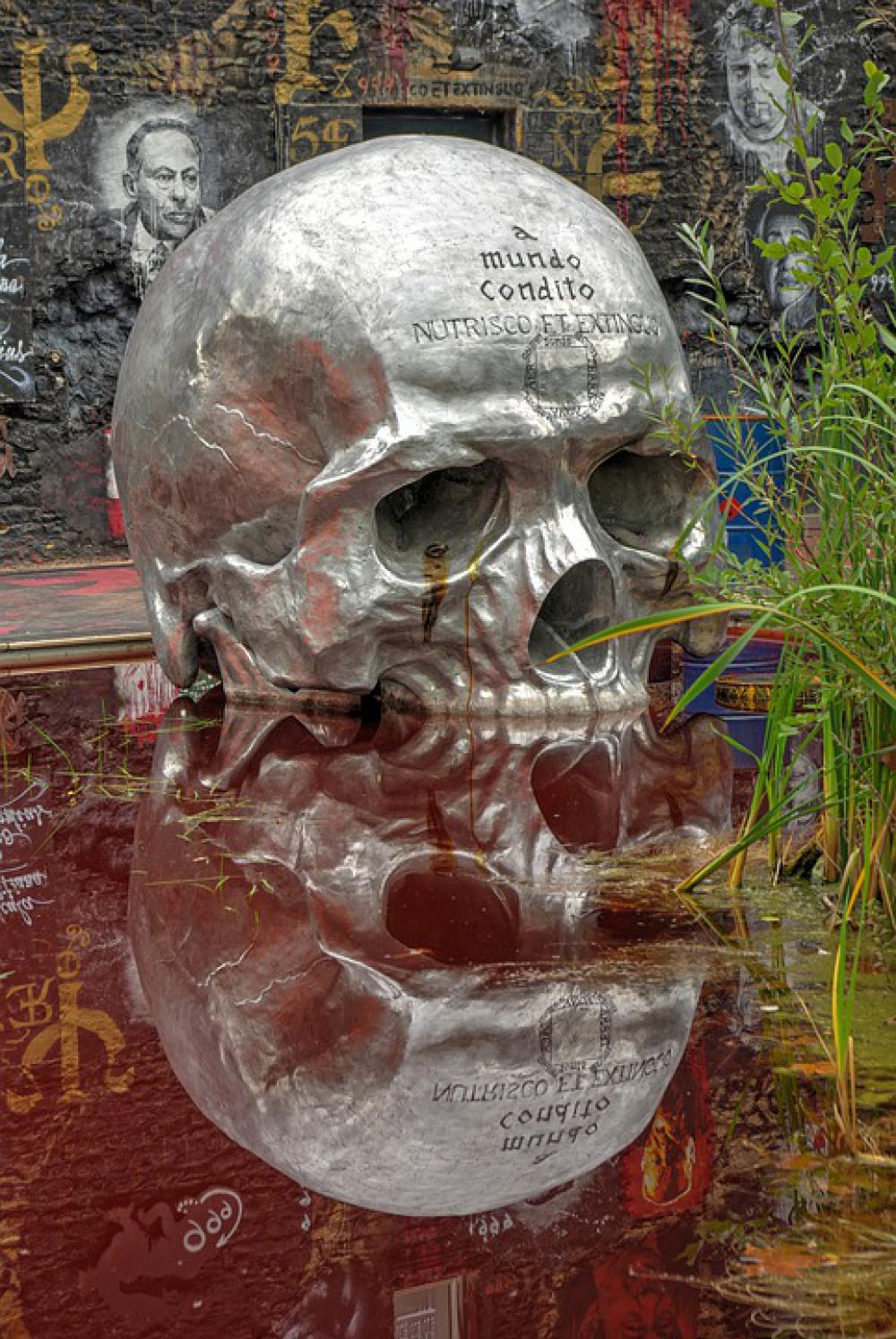 Head Of Death Pollution Symbol Product Chemical Head Of Death Pollution Symbol Product Chemical