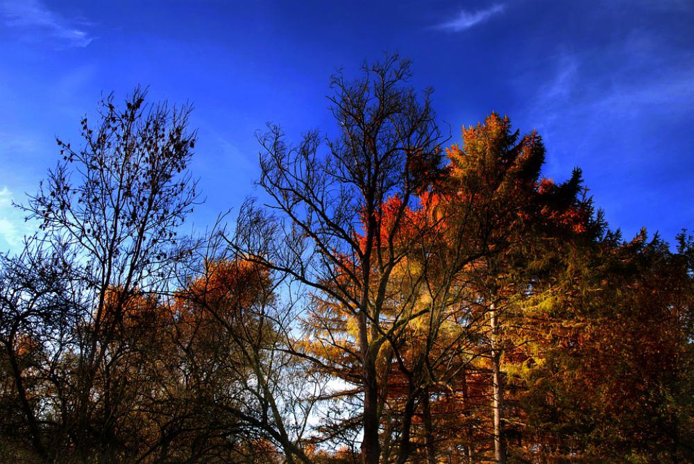 Autumn Indian Summer Nature Leaves Landscape Mood Autumn Indian Summer Nature Leaves Landscape Mood
