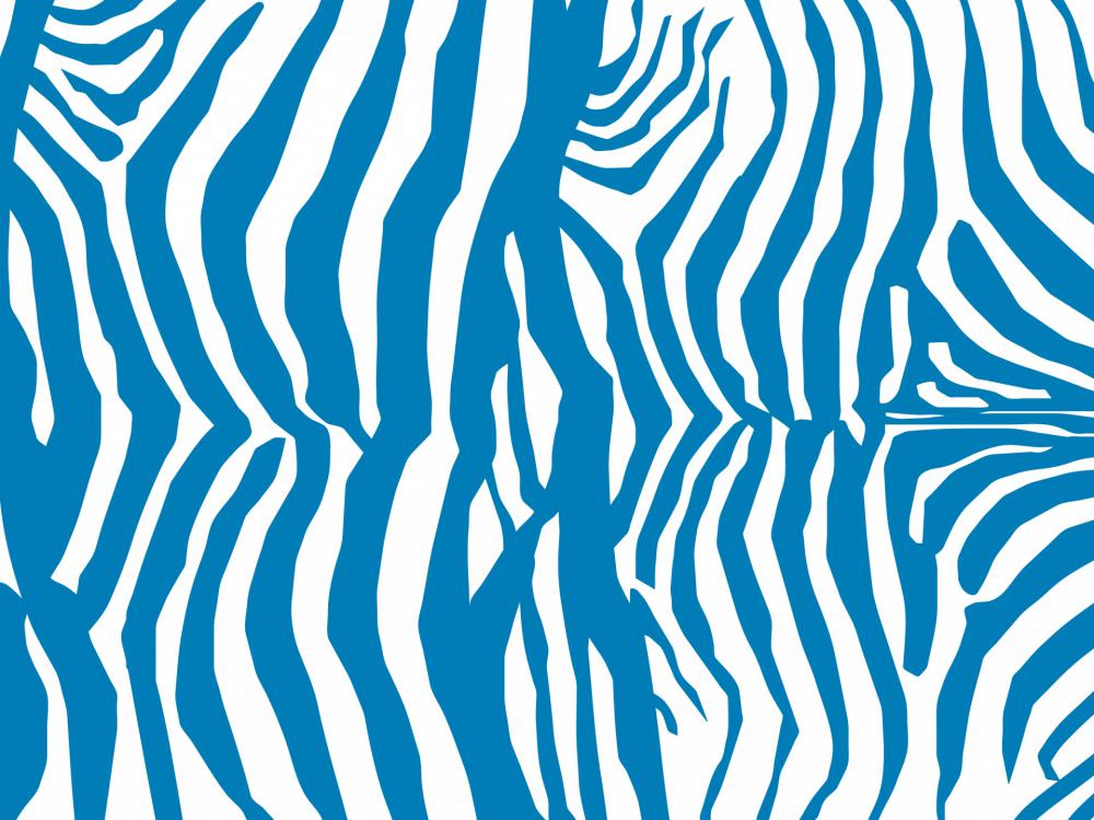 Zebra Stripes Blue Zebra Stripes Blue