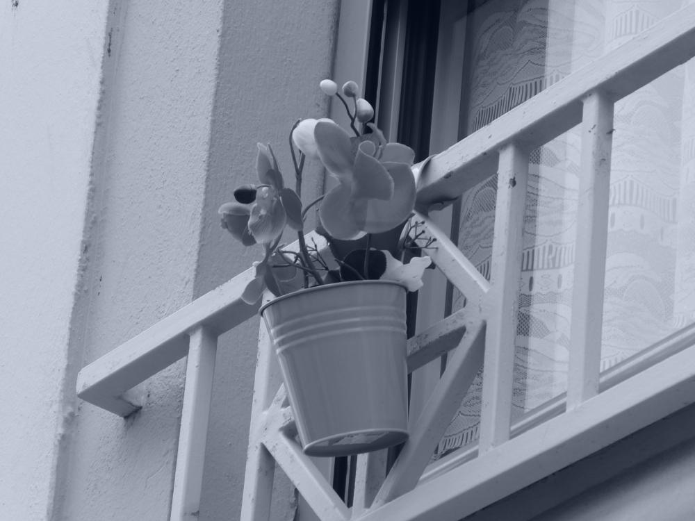 Metal Bucket Hanging On The Balcony Metal Bucket Hanging On The Balcony