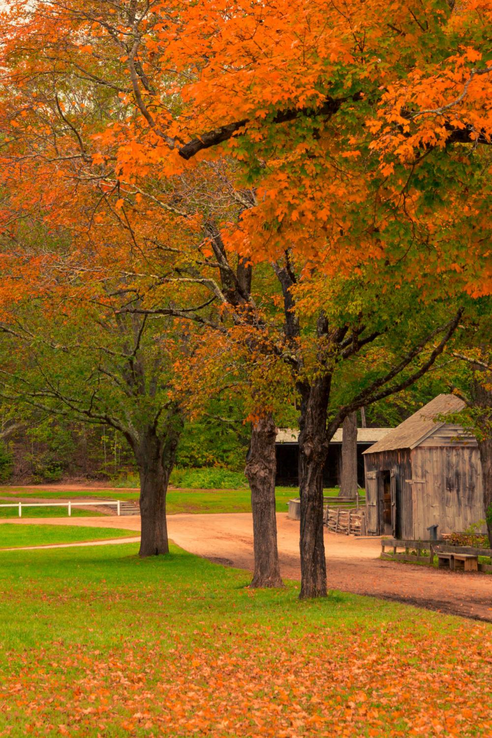 Dirt Road In Autumn Dirt Road In Autumn