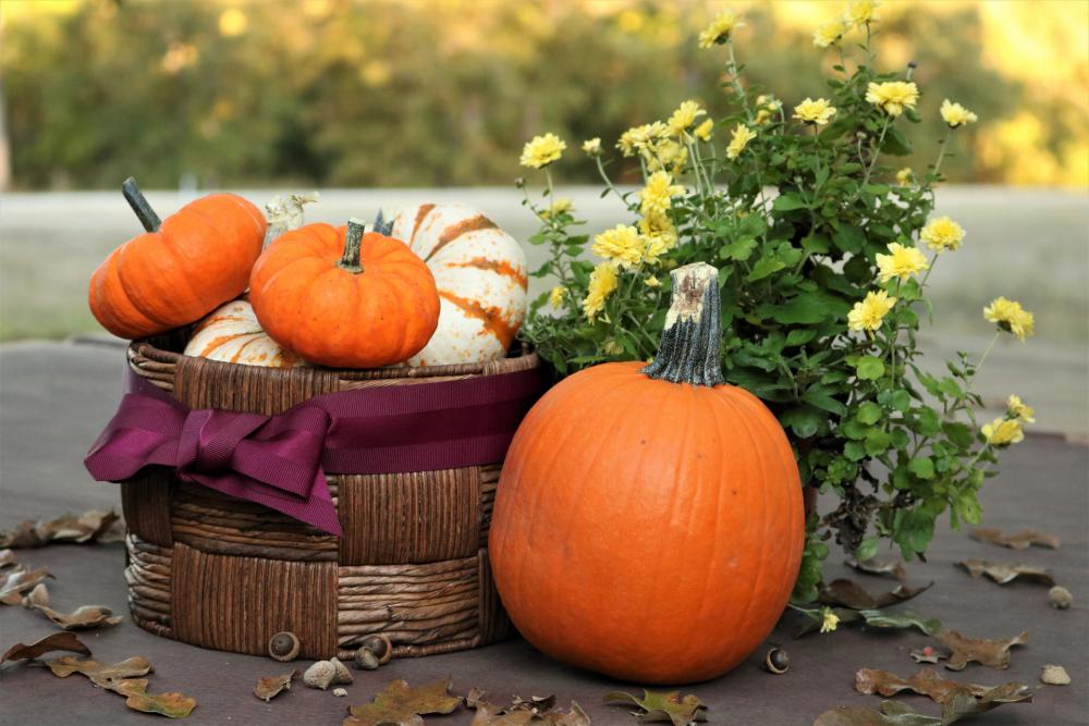 Little Pumpkins In Basket Little Pumpkins In Basket