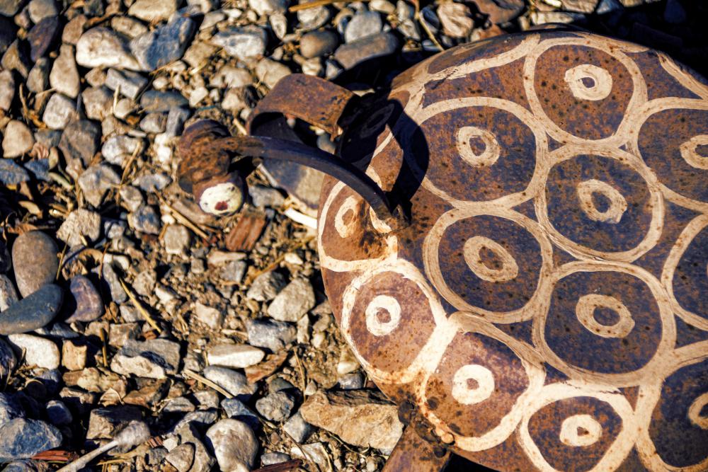 Turtle Garden Artifact Turtle Garden Artifact