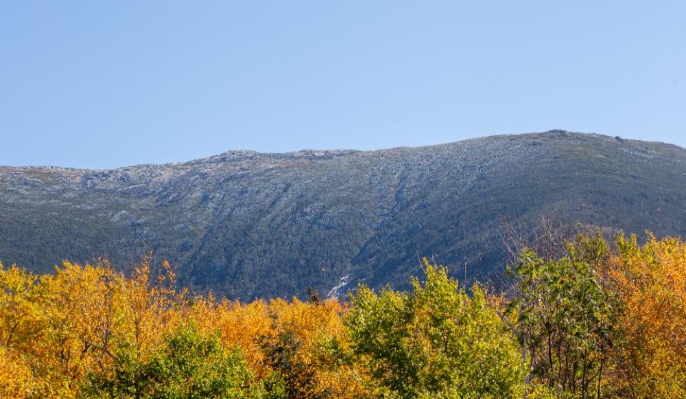 autumn foliage landscape mountain trees autumn foliage landscape mountain trees