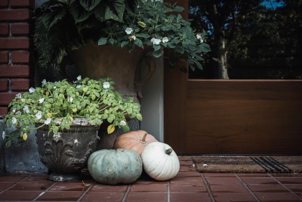exterior pumpkins flowers decoration display exterior pumpkins flowers decoration display