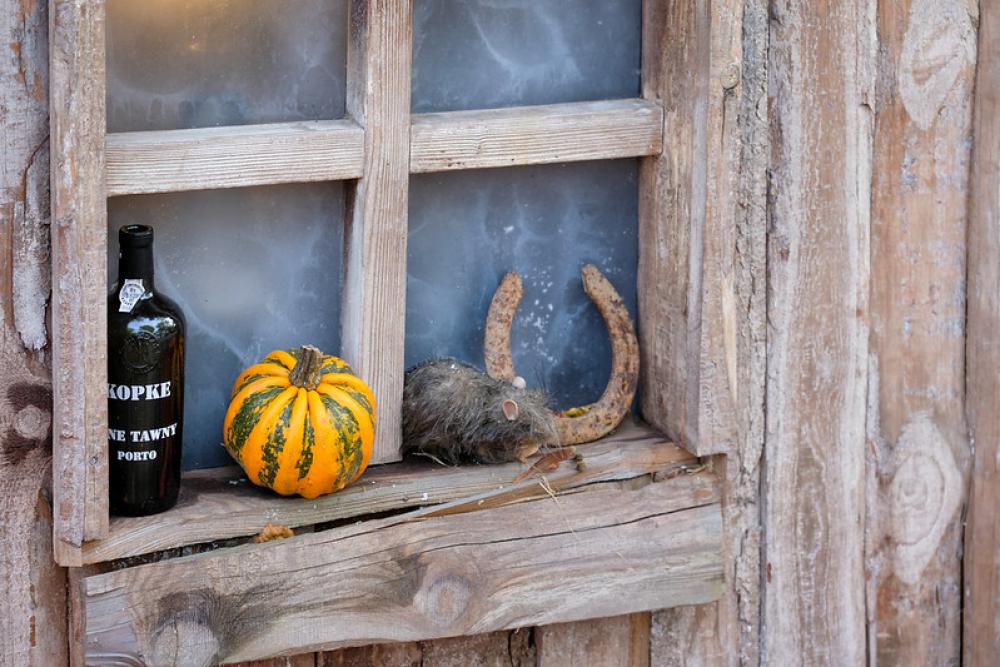 Rat Halloween Decoration on a Wooden Window Rat Halloween Decoration on a Wooden Window
