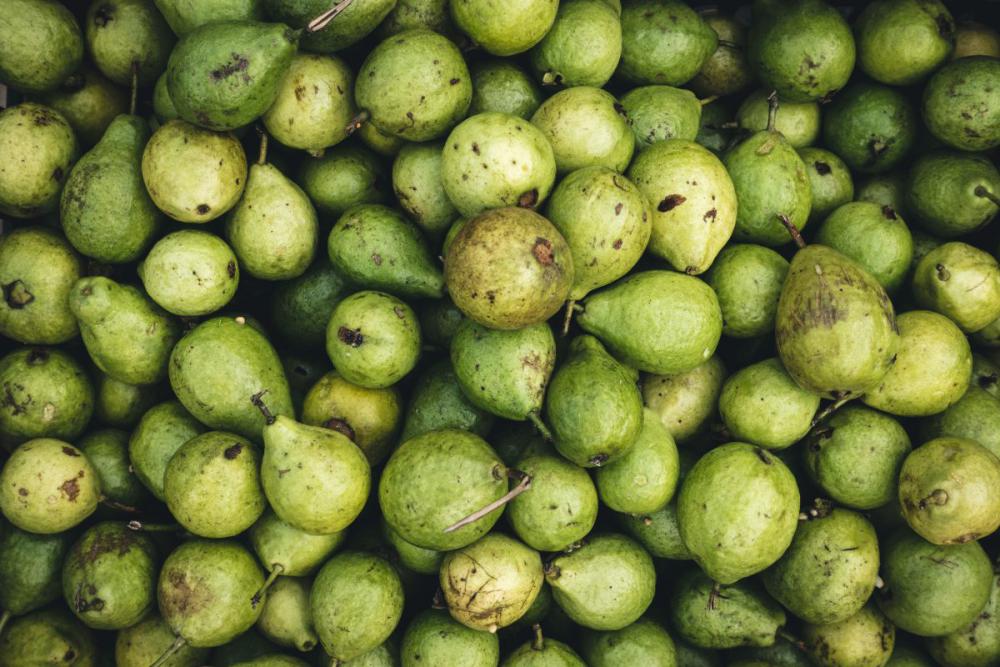 Full frame of pears Full frame of pears
