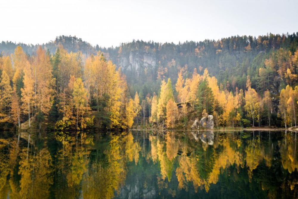 Autumn forest with a lake Autumn forest with a lake