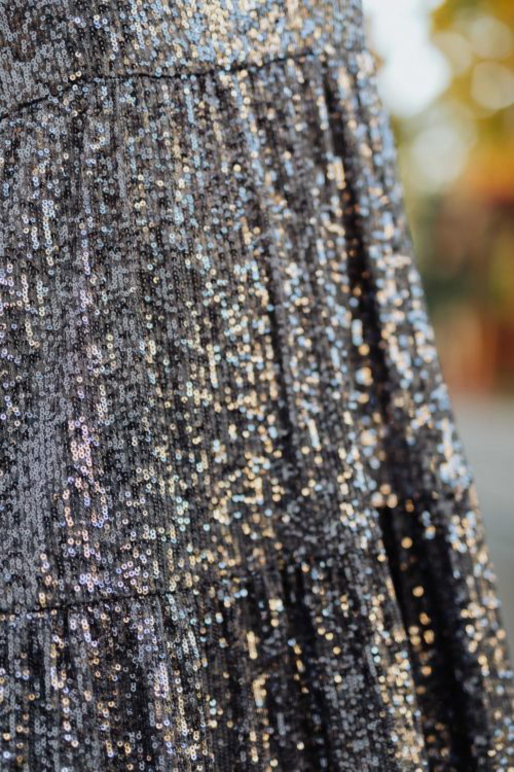 Sequin Dress Sequin Dress
