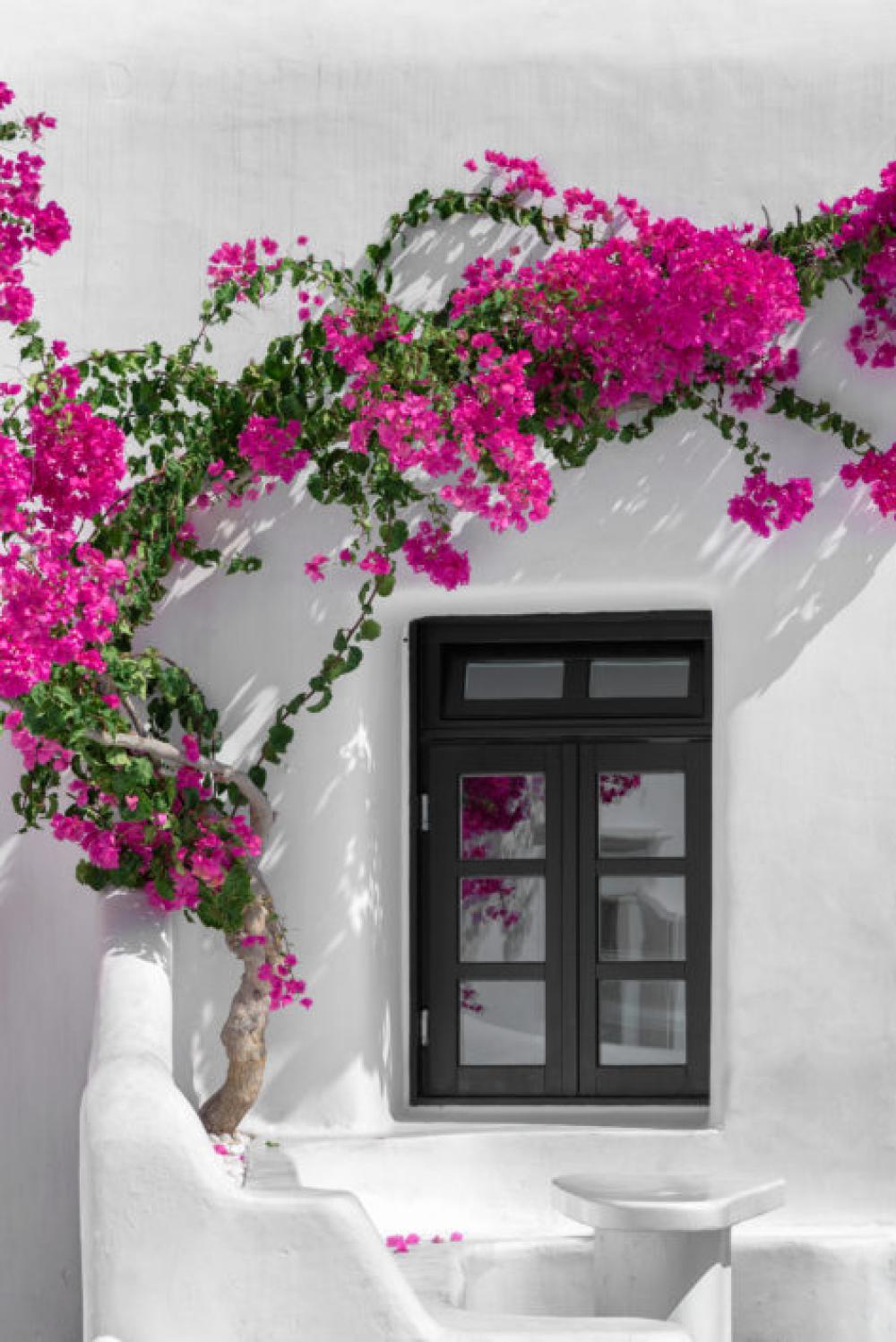 Vacation Resort Window Free Photo Vacation Resort Window Free Photo
