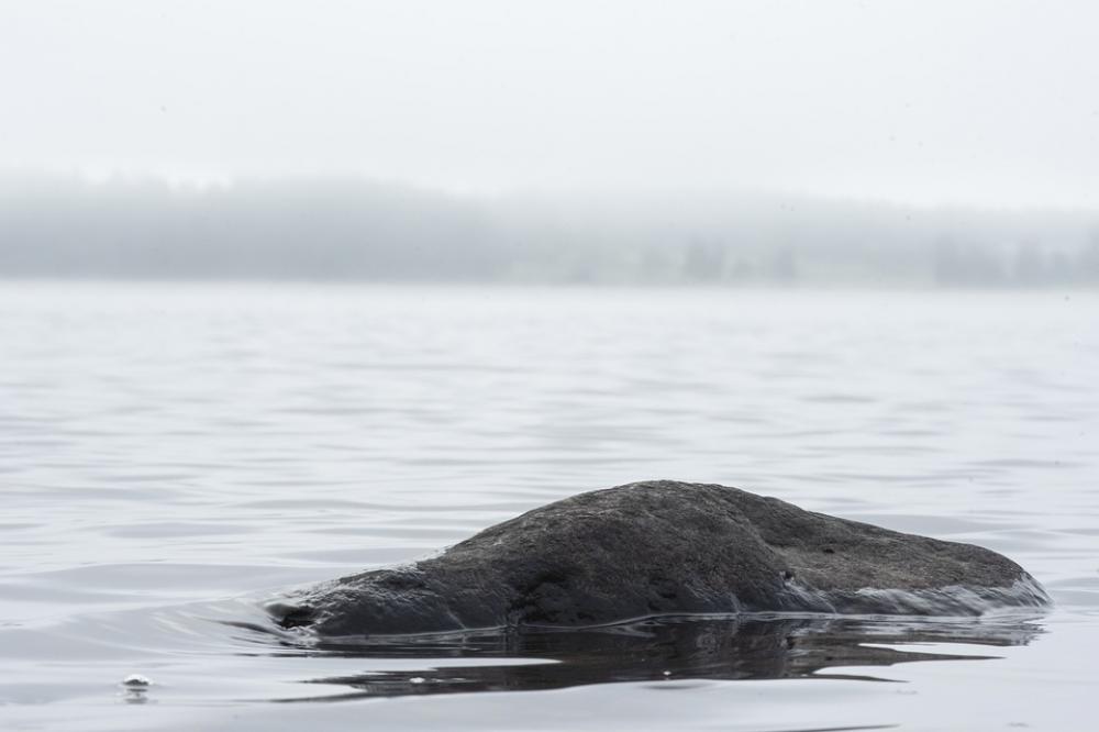 Stone Water Beach Coast Scenic Lake Calm Stone Water Beach Coast Scenic Lake Calm