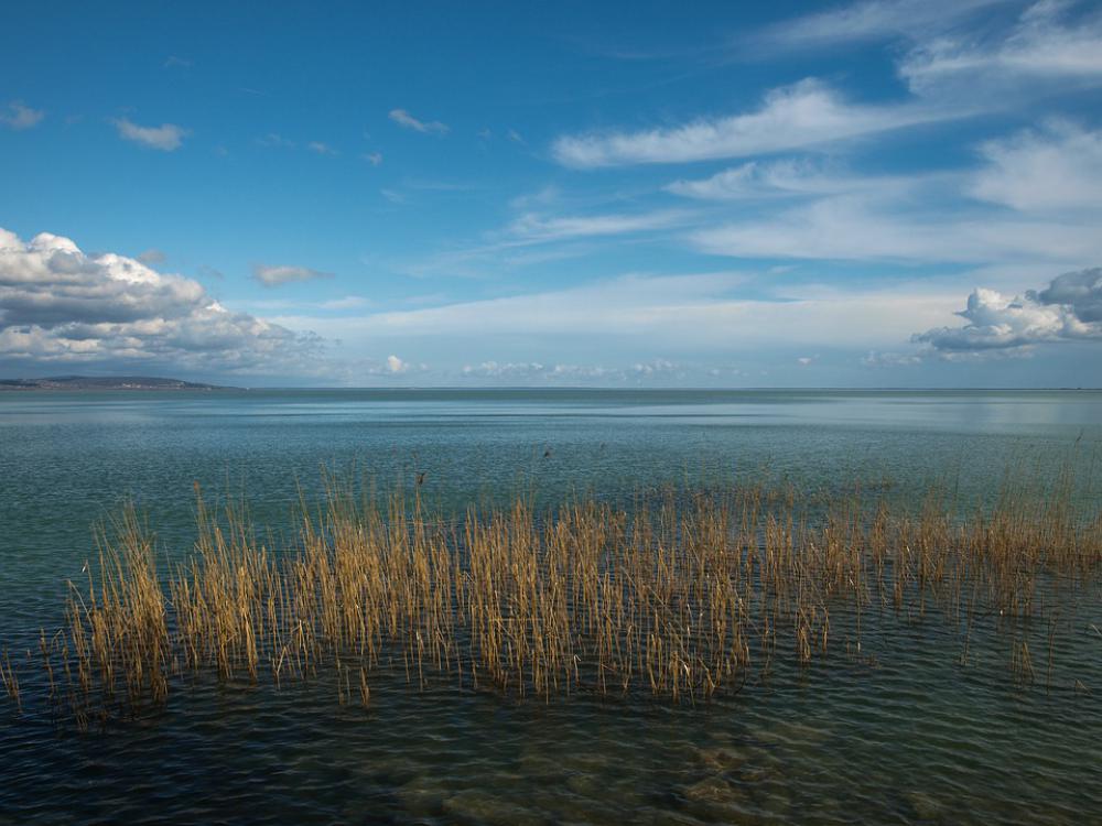 March Reed Lake Balaton Nature Sky March Reed Lake Balaton Nature Sky