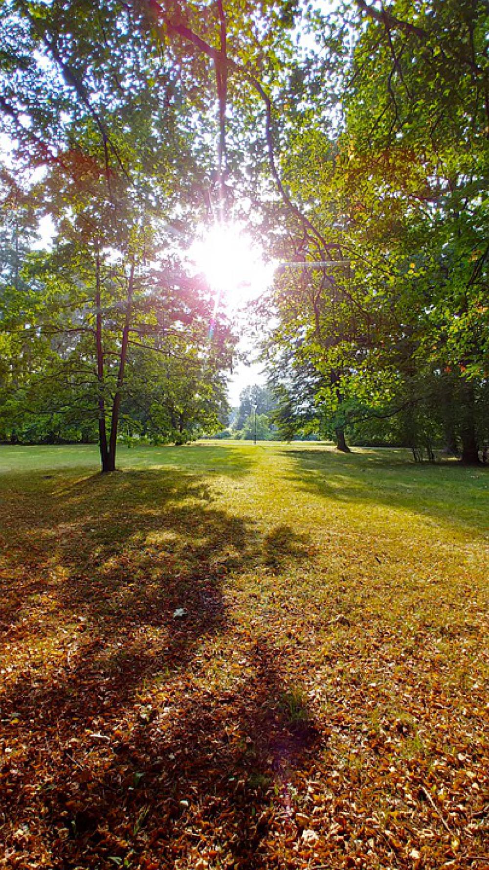 Nature Park Green Sky Flowers Trees Landscape Nature Park Green Sky Flowers Trees Landscape