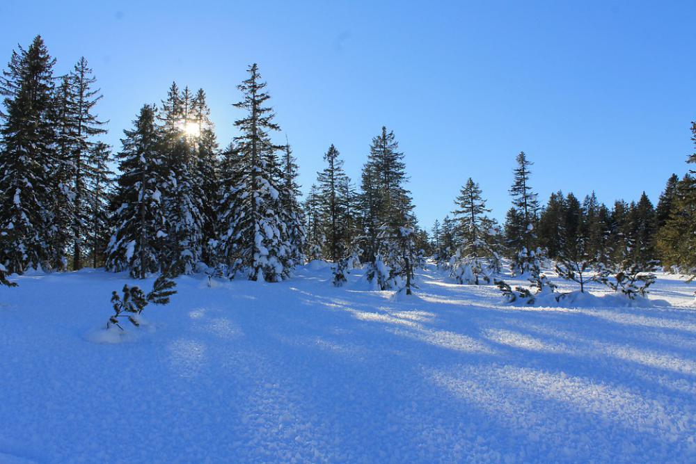 Winter Snow Nature Landscape Alpine Winter Snow Nature Landscape Alpine