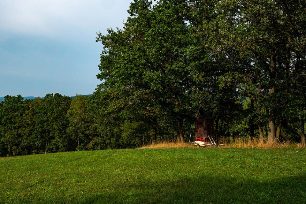 Landscape Summer Nature Meadow Green Landscape Summer Nature Meadow Green