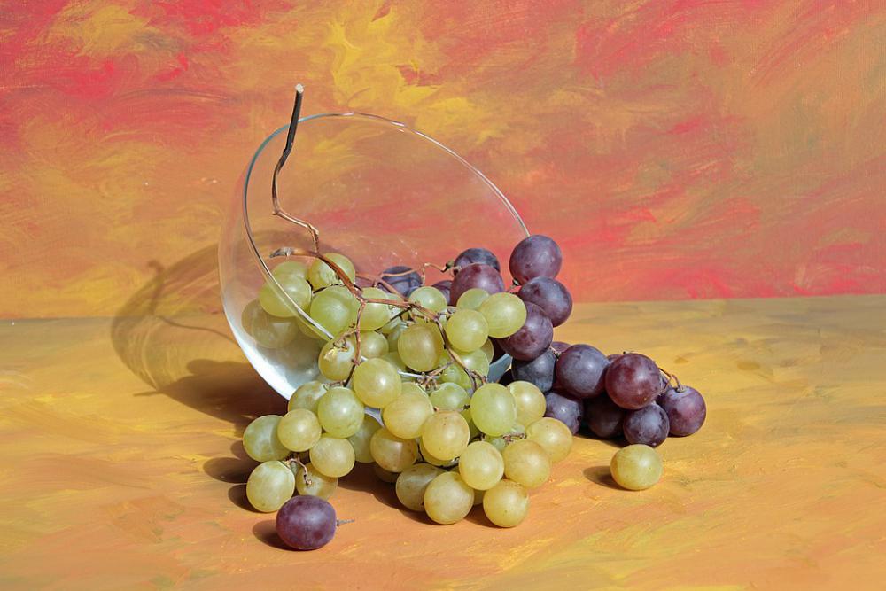 Still Life Grapes Fruit Arragement Healthy Food Still Life Grapes Fruit Arragement Healthy Food