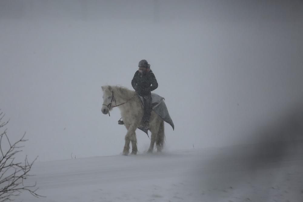 Reiter Snow Mystical Horse Outside Cold Land Ice Reiter Snow Mystical Horse Outside Cold Land Ice