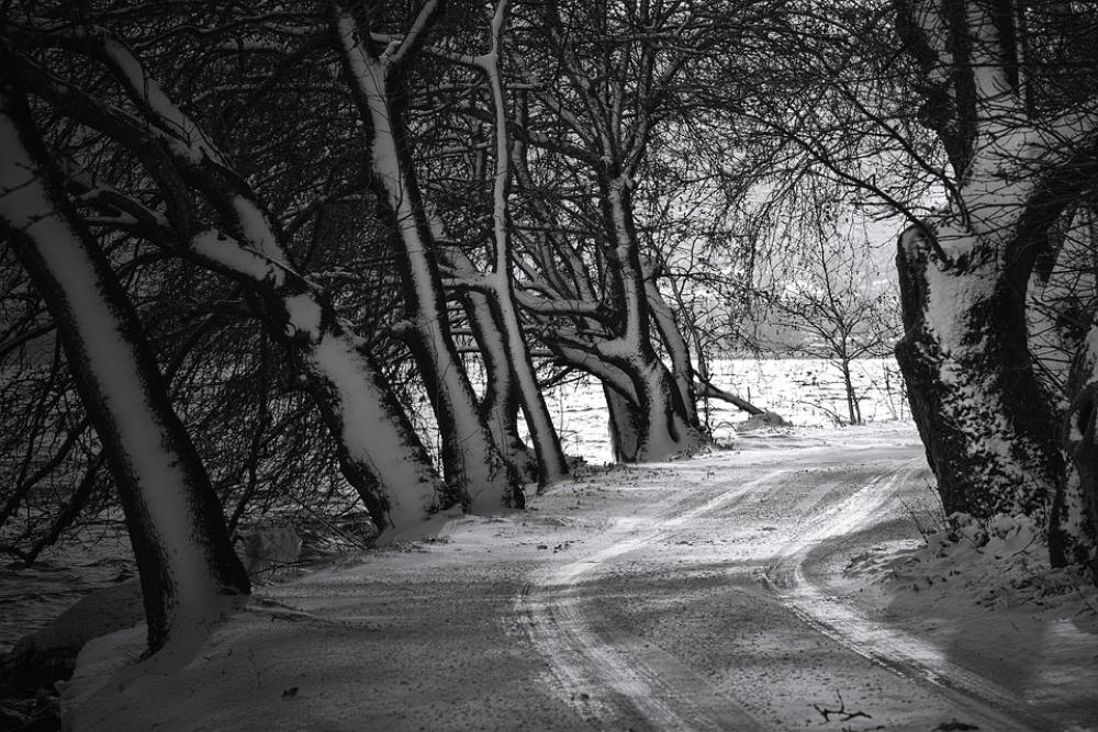 Winter Snow Black White Road Path Way Lake Winter Snow Black White Road Path Way Lake