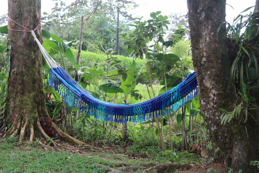 Blue Hammock Blue Hammock