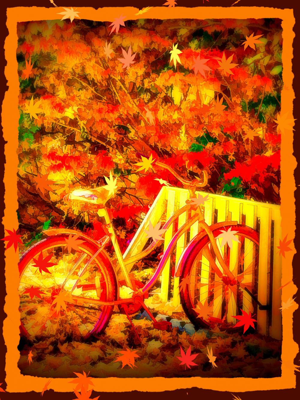 Autumn Bike Autumn Bike