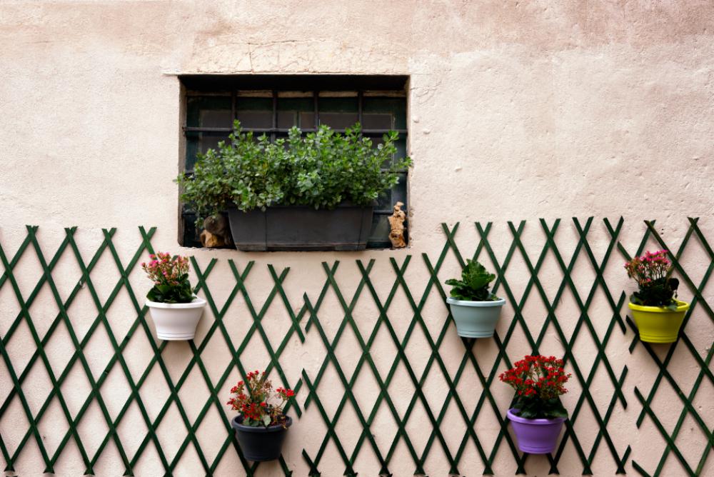 wall plant exterior window flowers wall plant exterior window flowers