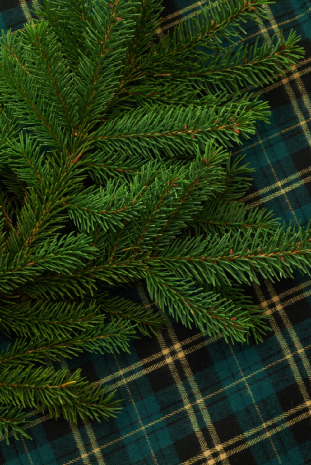 seasonal backgrounds christmas flat lay pine seasonal backgrounds christmas flat lay pine