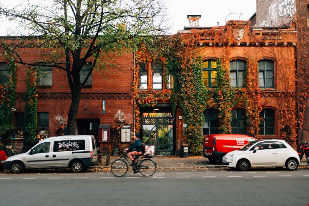 Red Brick Ivy Photo Red Brick Ivy Photo