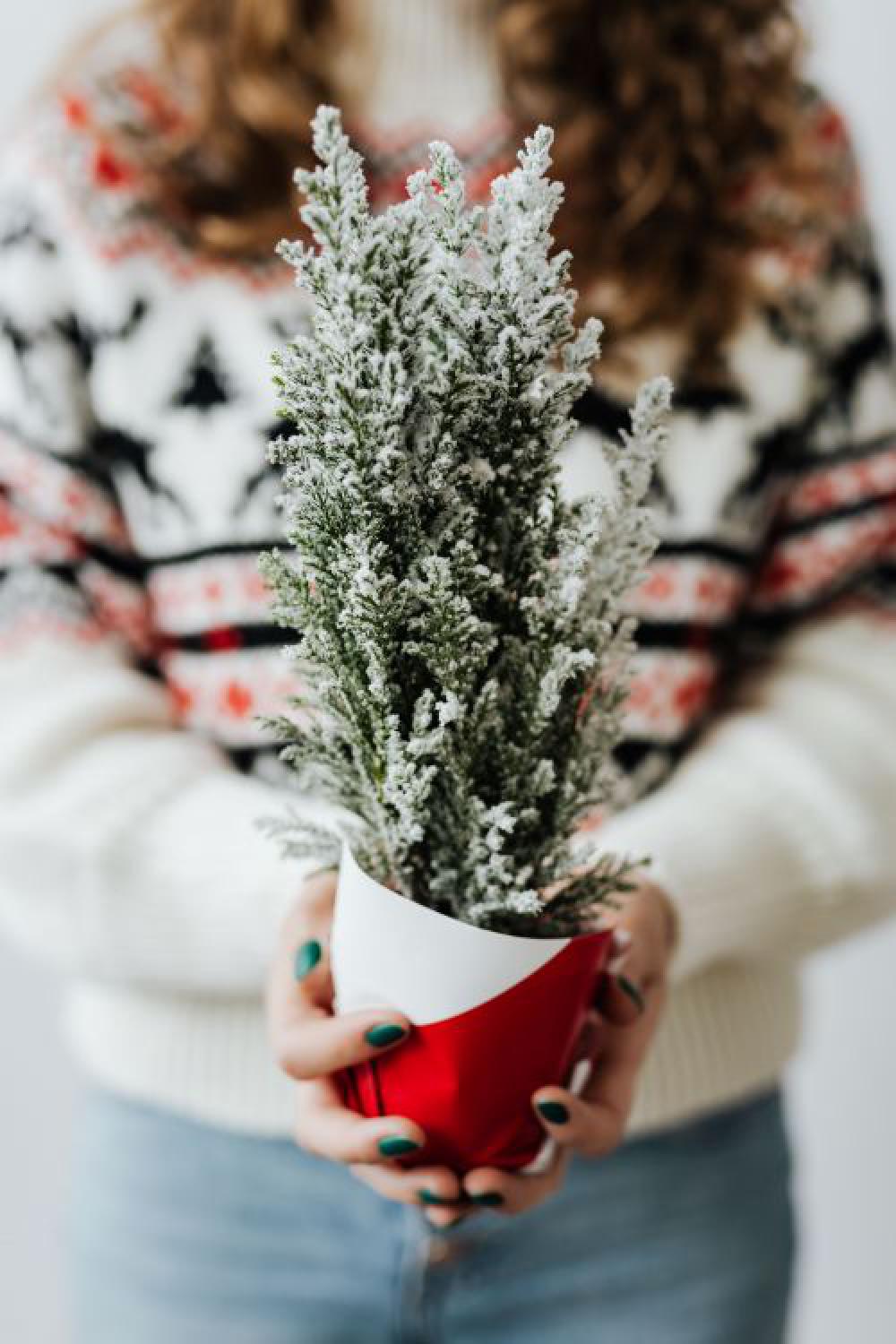 Merry Christmas Merry Christmas