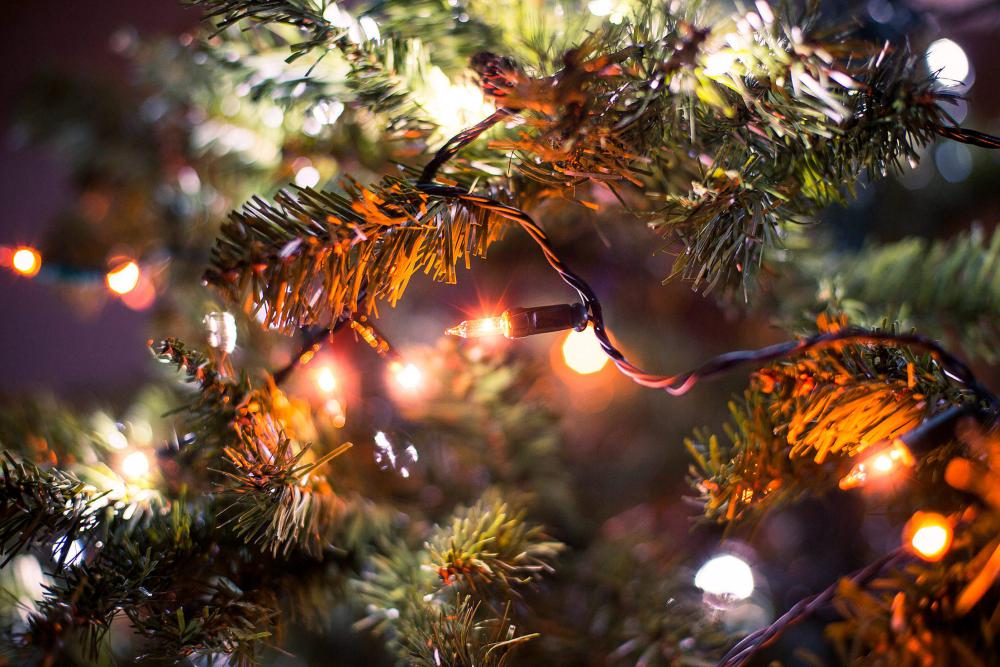 Christmas Lights Close Up Free Photo Christmas Lights Close Up Free Photo