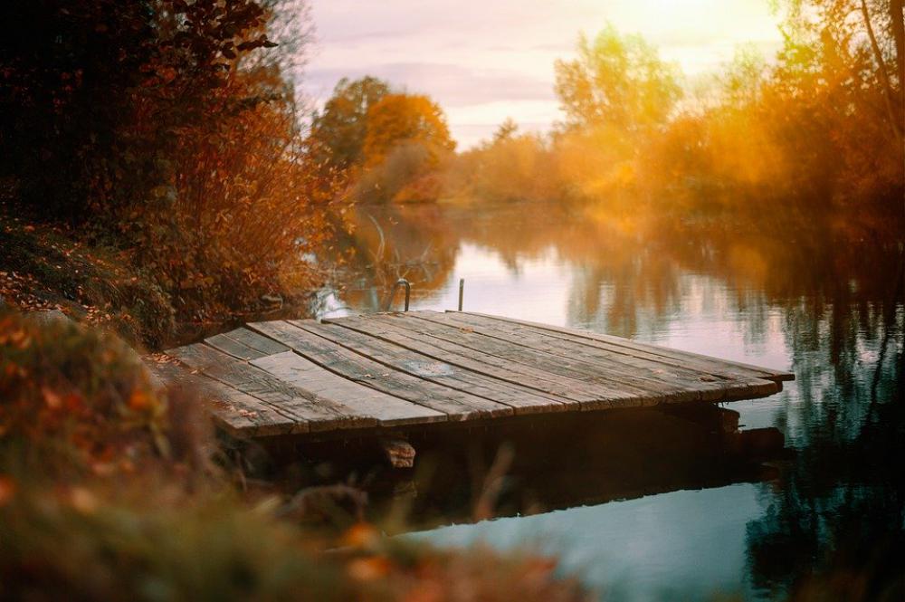 Lake Web Autumn Boardwalk Water Nature Atmosphere Lake Web Autumn Boardwalk Water Nature Atmosphere