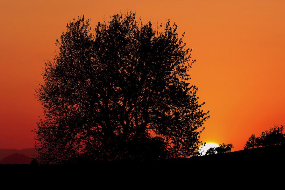 Sunset Nature Trees Landscape Sky Evening Orange Sunset Nature Trees Landscape Sky Evening Orange