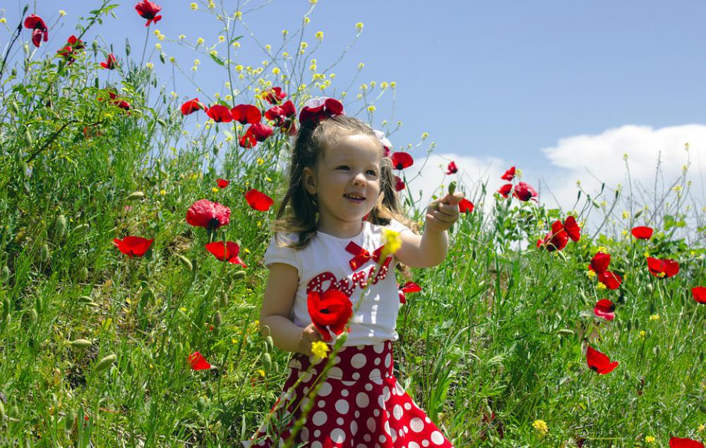 Children Nature Summer Kids Girl Happy Flowers Children Nature Summer Kids Girl Happy Flowers