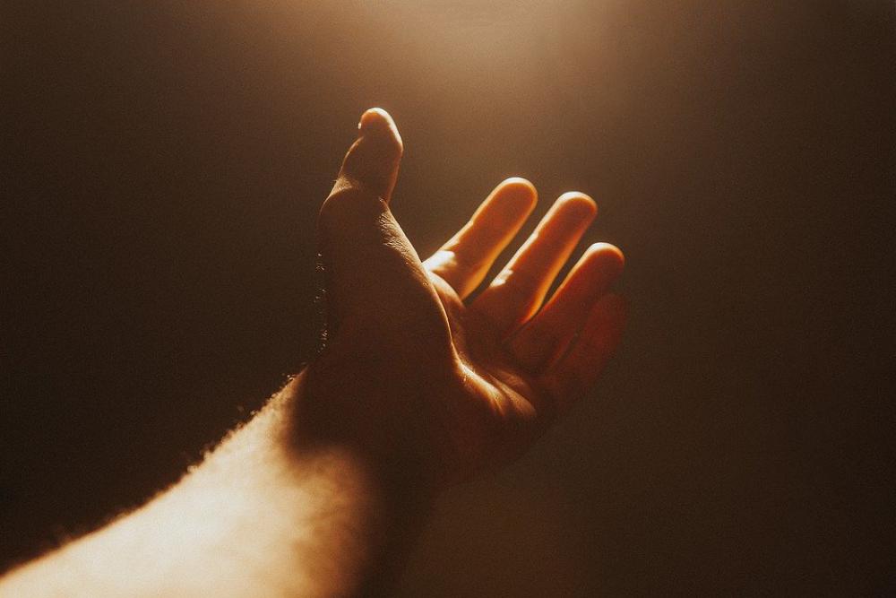 Hand Hands Freedom Worship Man Handwriting Person Hand Hands Freedom Worship Man Handwriting Person